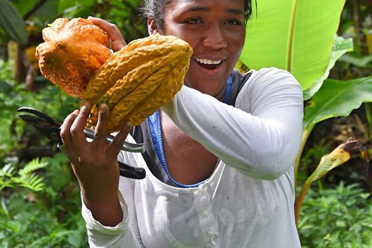 Ecuador Chocolate Expedition - Global Family Travels