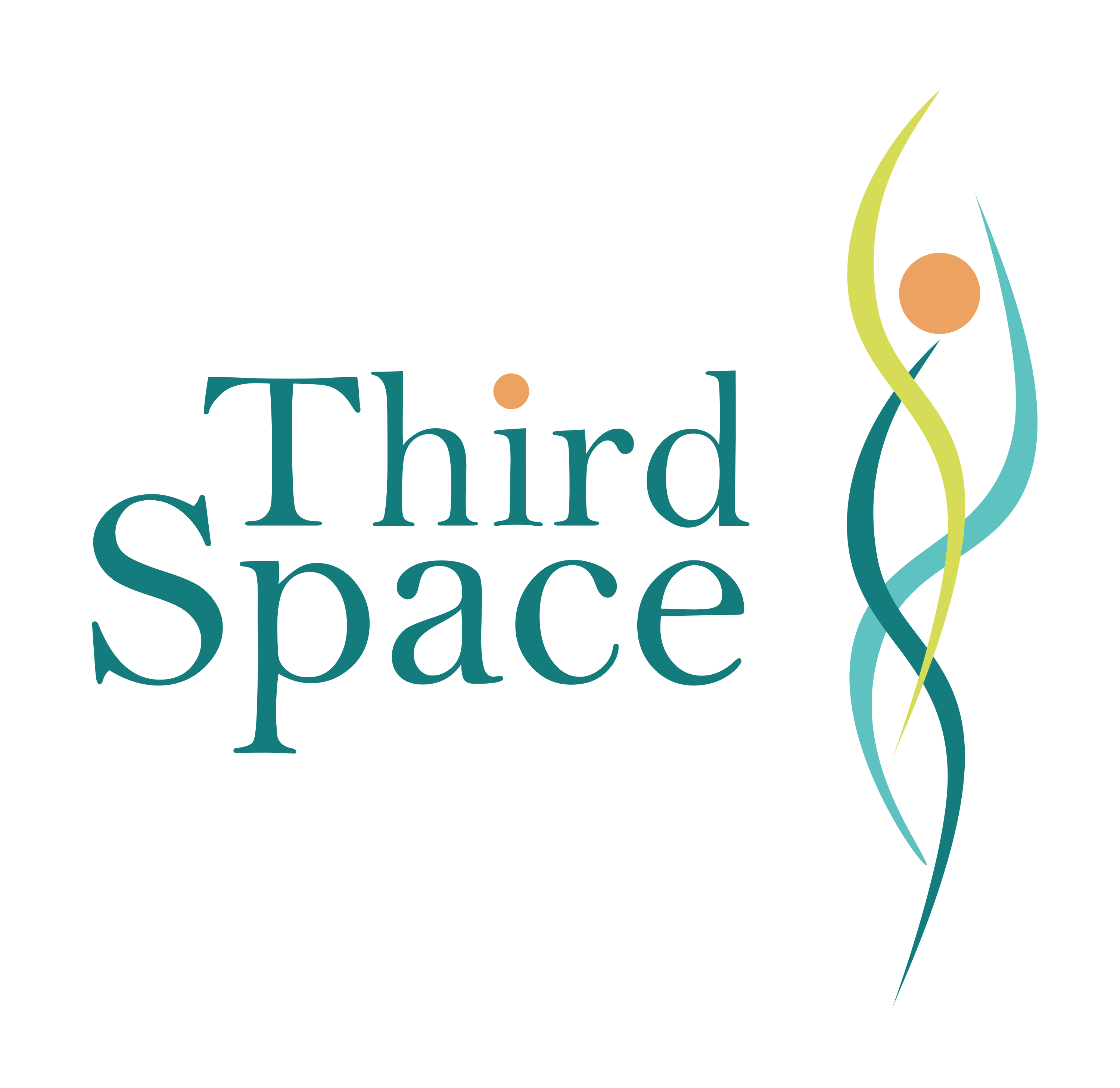 ThirdSpace International