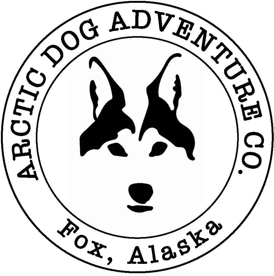 Arctic Dog Adventure Co. 