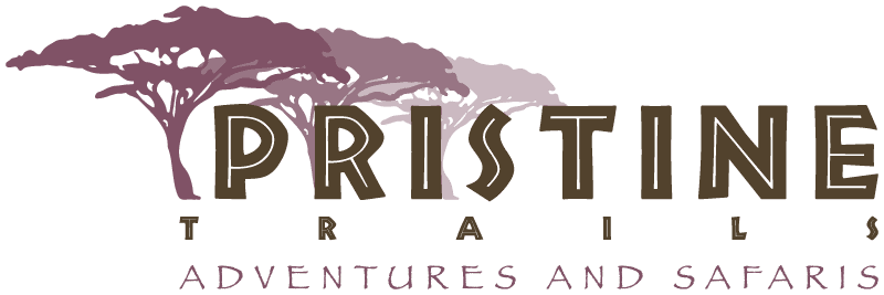 Pristine Trails Adventures and Safaris 