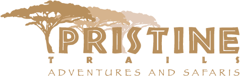 Pristine Trails Adventures and Safaris 